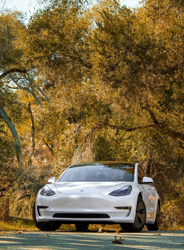 White Tesla Model 3 in a scenic forest setting