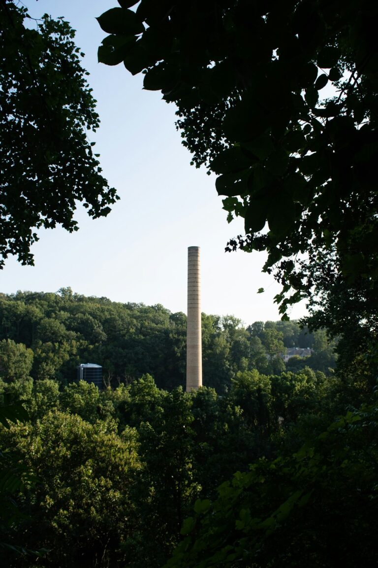 Tall chimney stack in a forested area symbolizing economic stability amidst monetary adjustments.