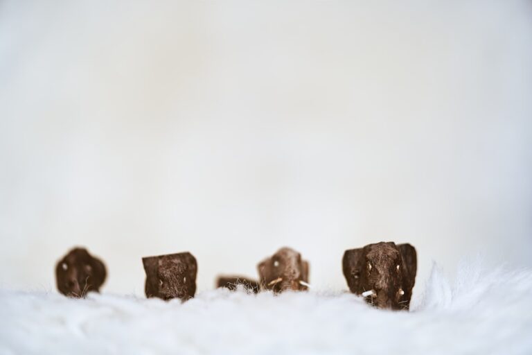 Small elephant figurines symbolize small-cap stock resurgence in financial markets