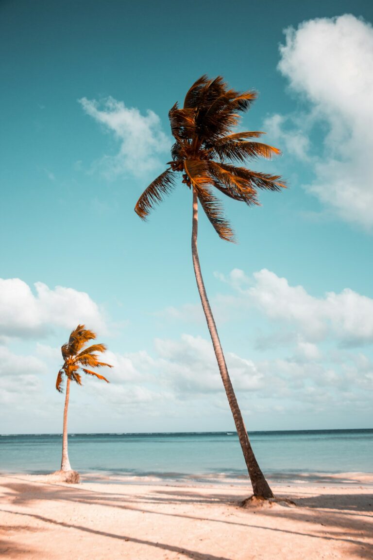 Two tall palm trees sway on a serene beach under a blue sky with scattered clouds.